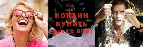 ГАЛЛЮЦИНОГЕННЫЕ ГРИБЫ Абаза