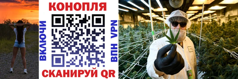 Бошки Шишки гибрид  закладки  Нижнекамск 